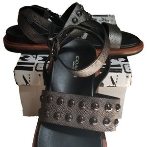 Coach Shoes - COACH Metallic Dannie Sandals Coach Shoes - COACH Metallic Dannie Sandals